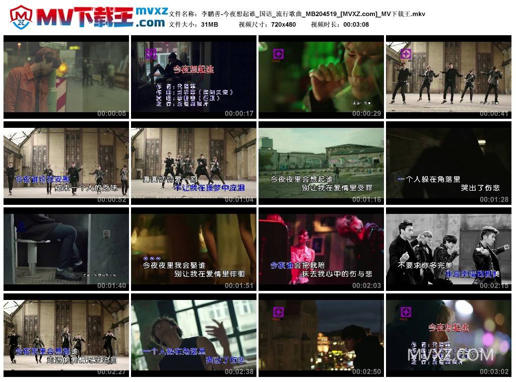 李鹏善-今夜想起谁_国语_流行歌曲_MB204519